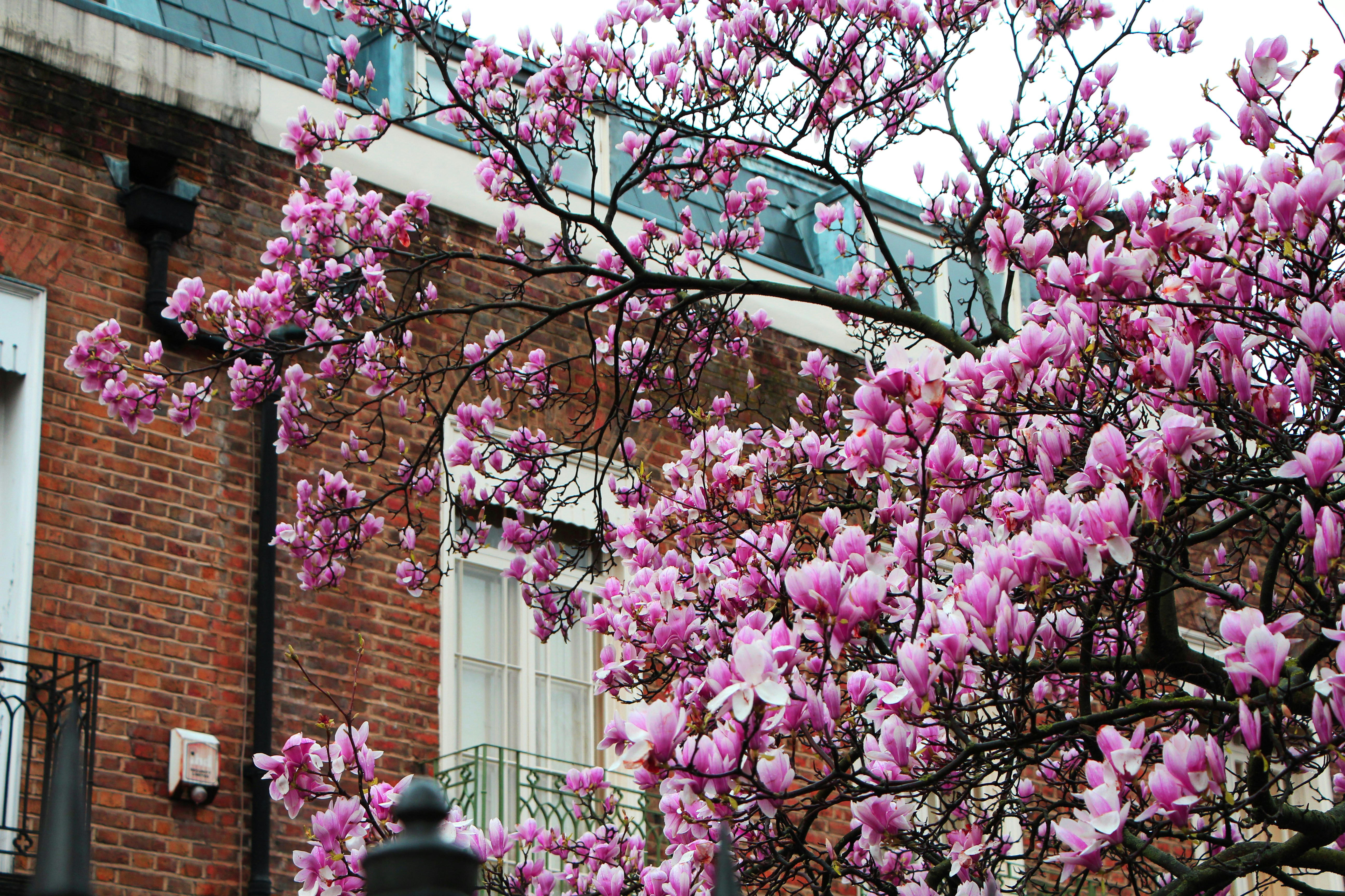 Seasonal home remodeling project by JRC Remodeling